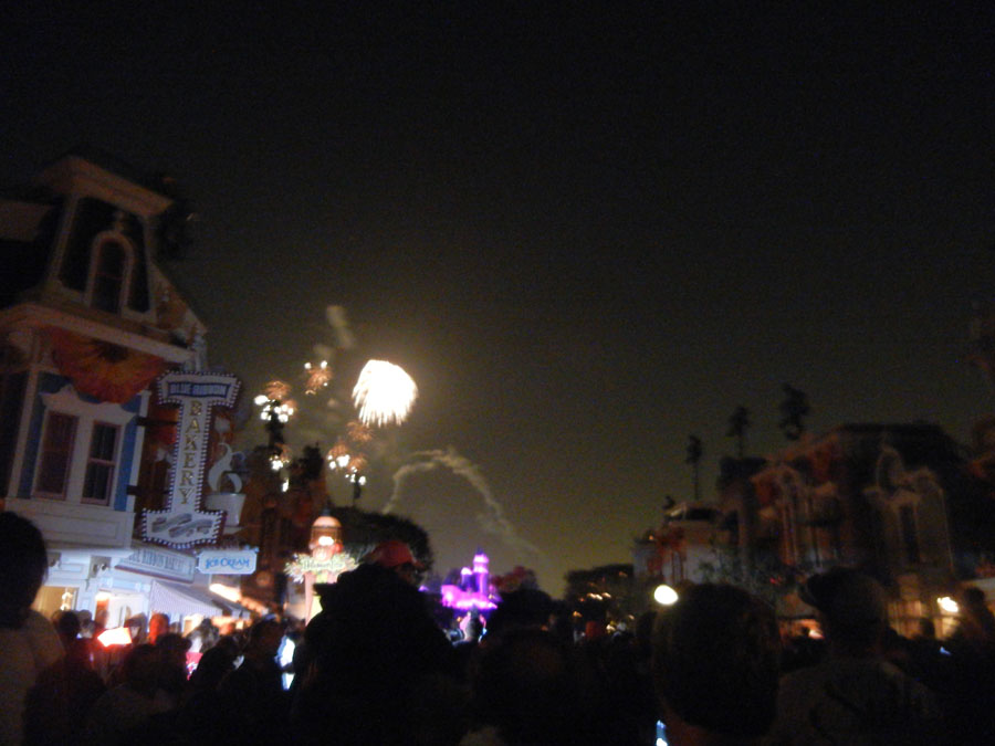 Disneyland Fireworks Picture